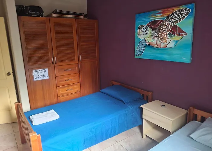 Casa Palmera